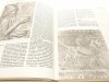 HISTORIA SZTUKI ZDOBNICZEJ OD PRADZIEJÓW... 1983
